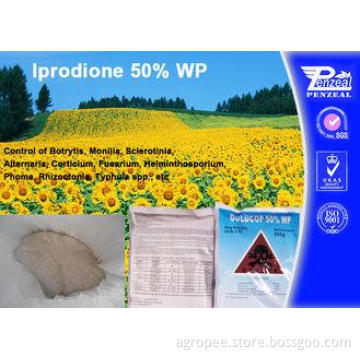 Systemic Fungicide For Apple Trees / Berry Fruit , Iprodion